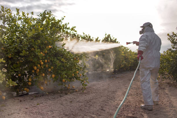 Best Fumigation Services  in Unadilla, GA